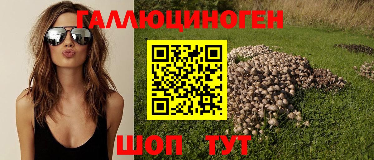 Галлюциногенные грибы прущие грибы Жуковский